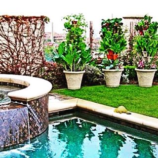 Landscaping with garden towers by the pool
